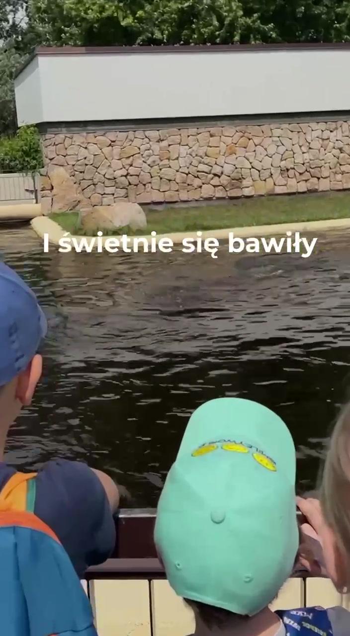 Wycieczkę dla dzieci